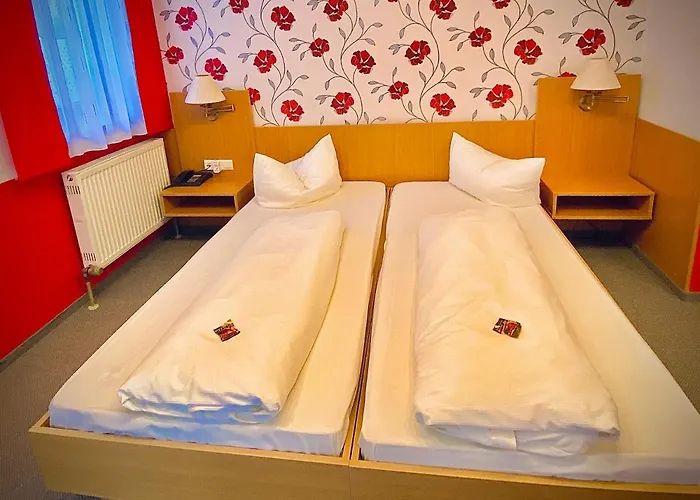 Fichtel-hotel By Meister Baer 3* Marktredwitz
